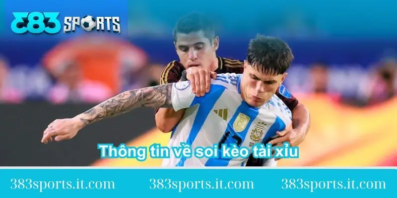 thong-tin-so-net-ve-soi-keo-tai-xiu